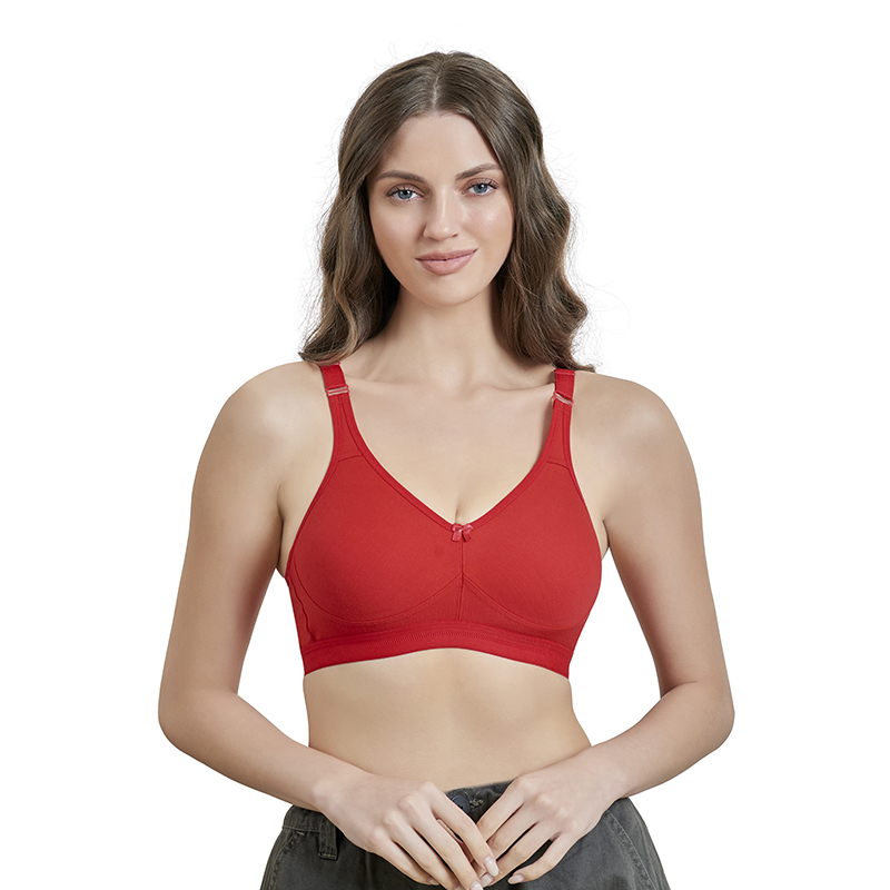 Maroon T-Shirt Bra for Women Lightly Padded Seamless Everyday Comfort Bra