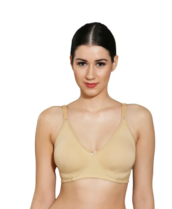 Ingrid Women Cotton Non-Padded Non-Wired T-shirt Bra Size