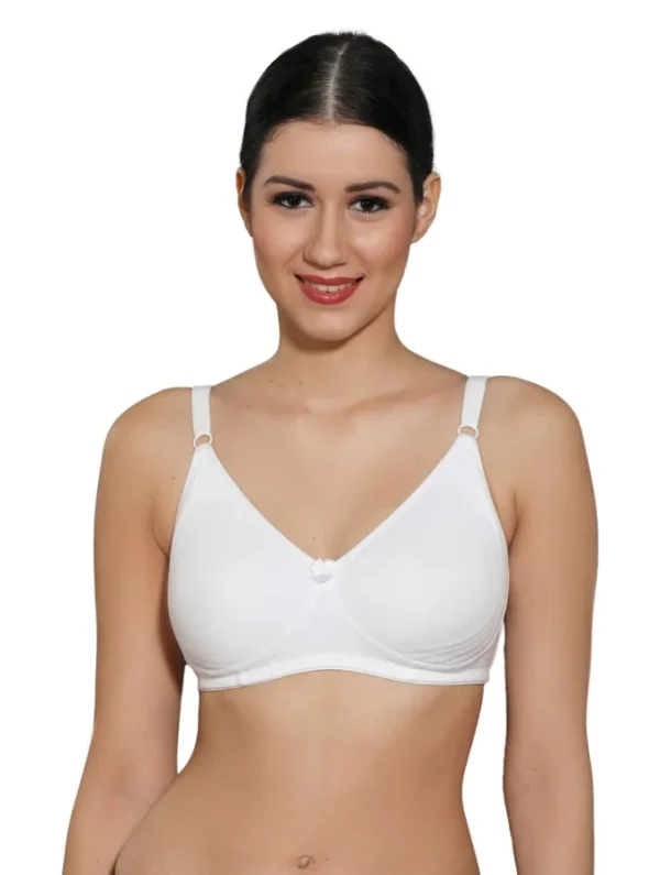 Ingrid Women Cotton Non-Padded Non-Wired T-shirt Bra Size